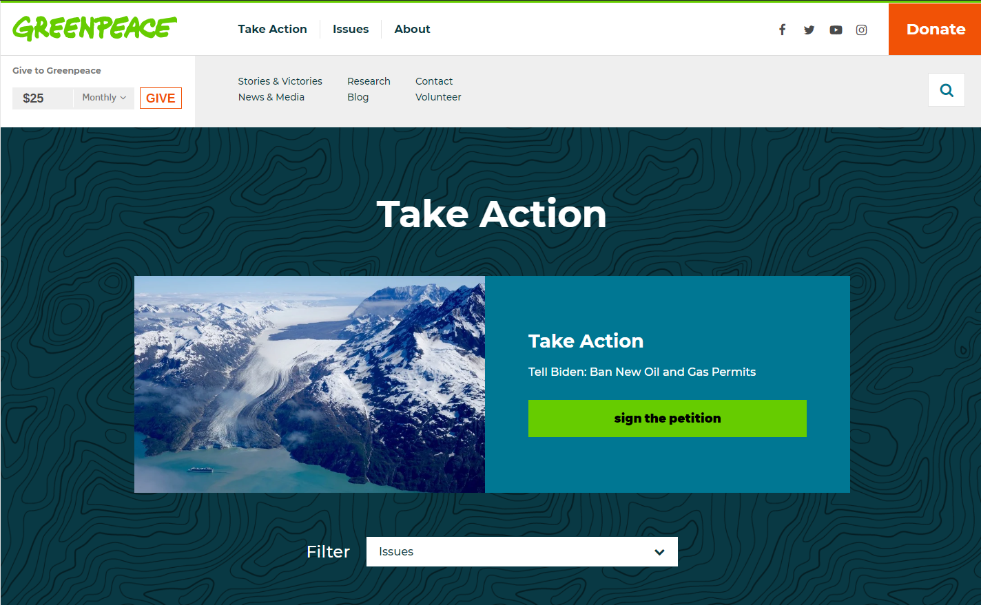 Дизайн сайта с зеленым цветом в основе гаммы