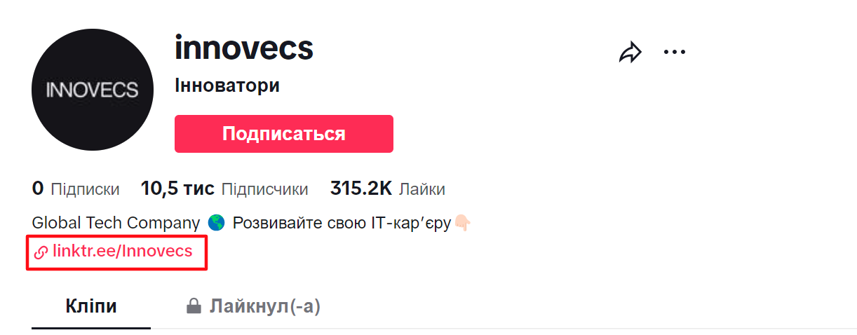 Стратегия продвижения в TikTok для IT компаний. Как привлечь ЦА в популярной соцсети?